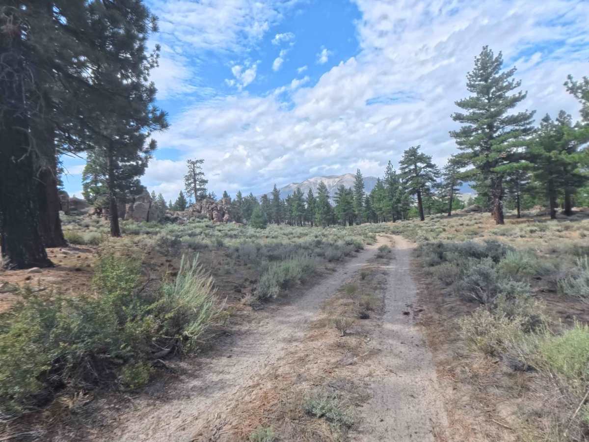 FS 4S05 trail photo