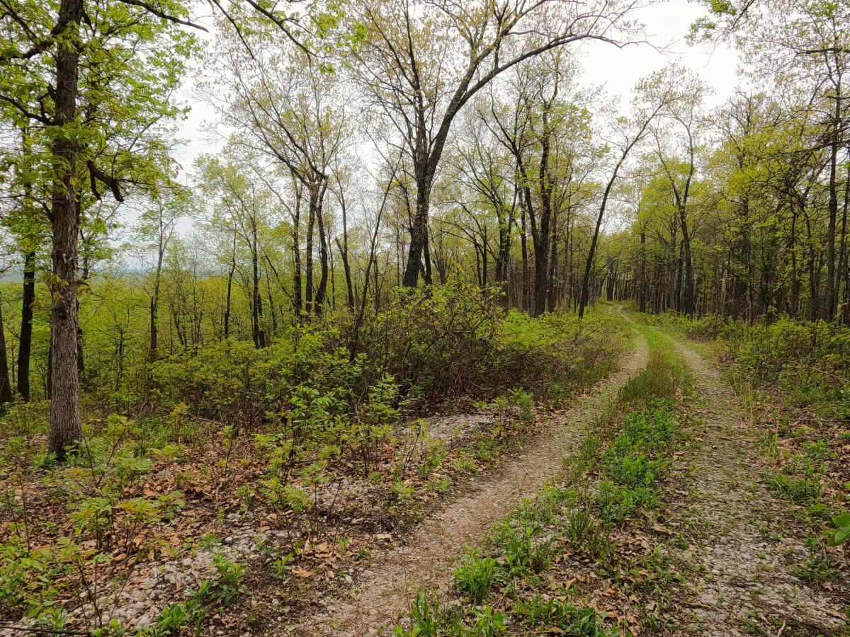 North James - FS 2743 photo 4