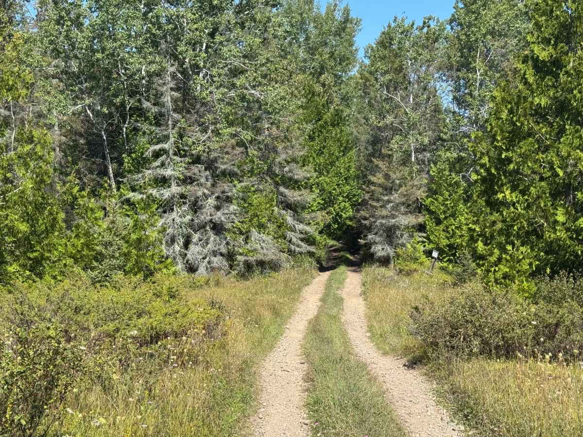 Reynolds Bay Trail trail photo