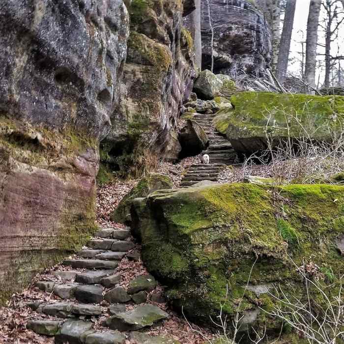 Old rock stairs just past Ox Lot. Near Rim Rock/Pounds Hollow Out and Back