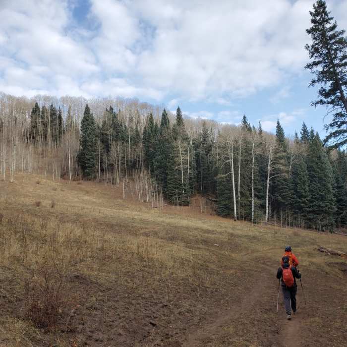 Near Goulding Creek