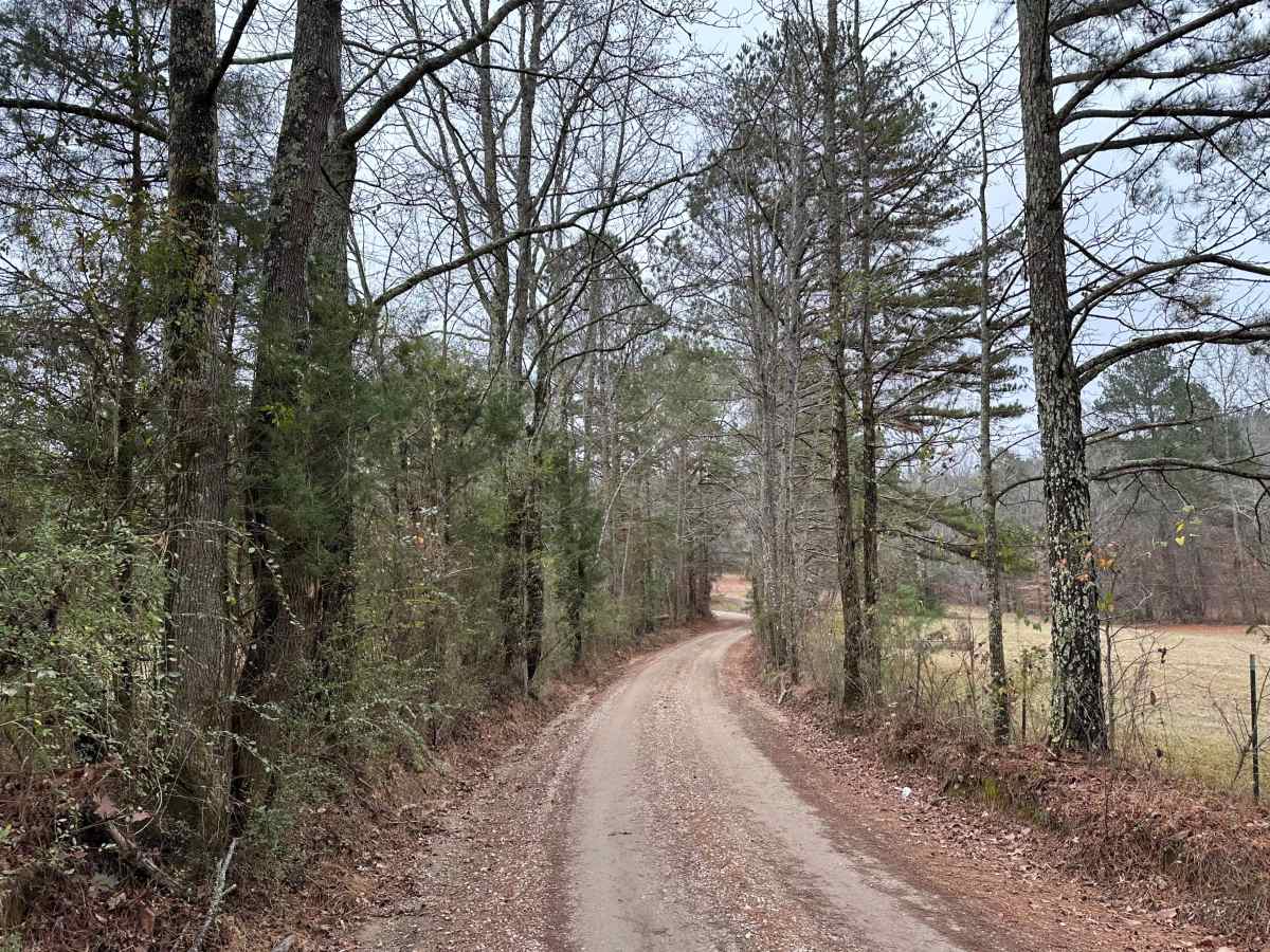 House Road  trail photo
