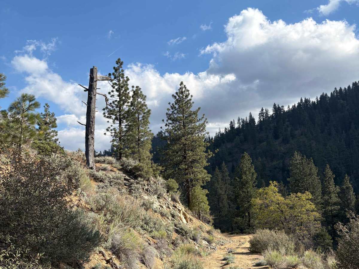 Mill Canyon - FS 9N04 photo 6