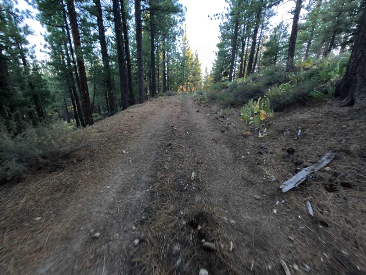 Wheeler Tie Spur - FS 0450-005-15B photo 5