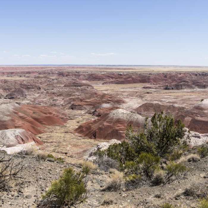 Near Painted Desert Rim Trail Near Painted Desert Rim Trail