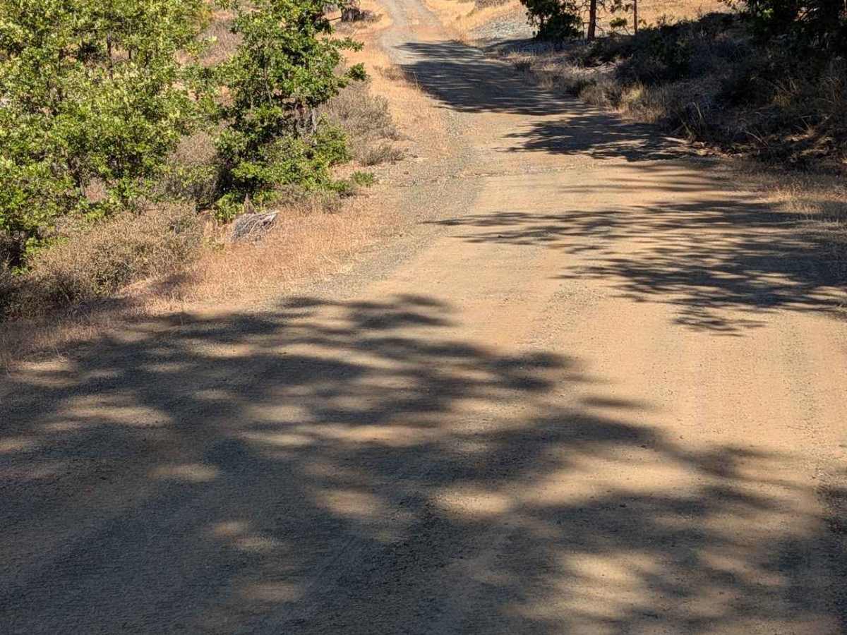 Friend Mountain Road - FS 2N15 photo 6