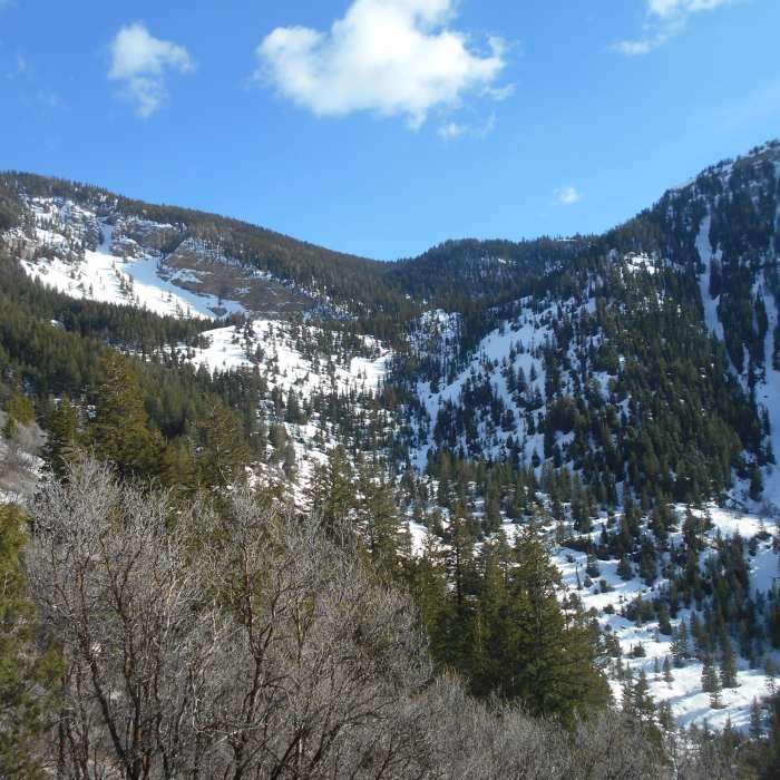 Near Spring Hollow Trail
