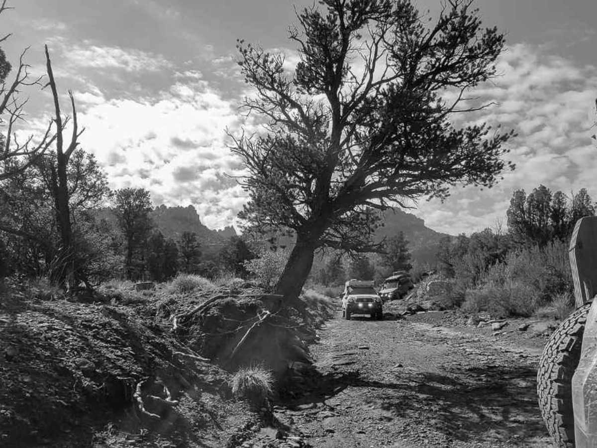 South Draw Road - Capitol Reef NP photo 6