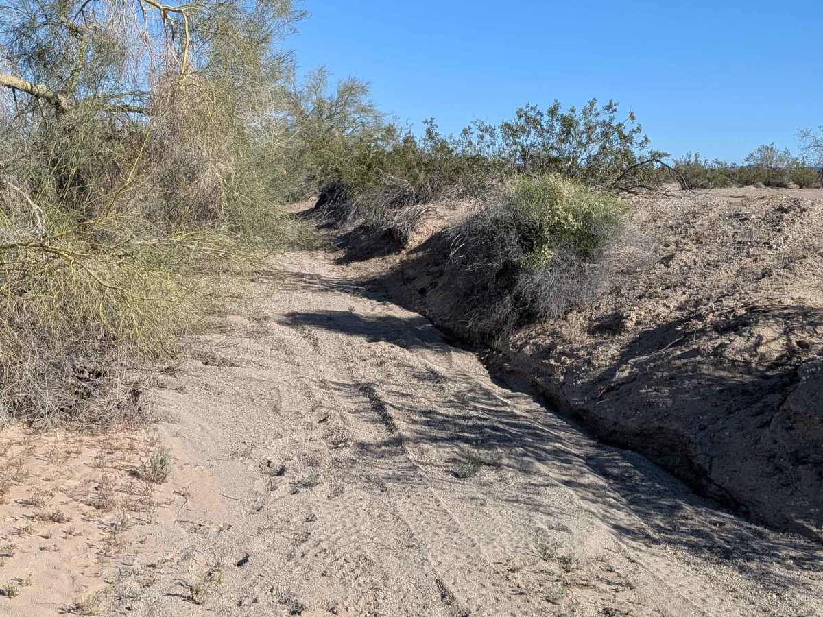 BLM 619 photo 5