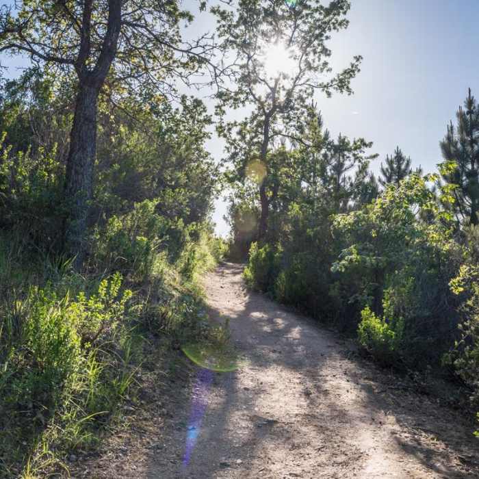 Near Fremont Peak Hike