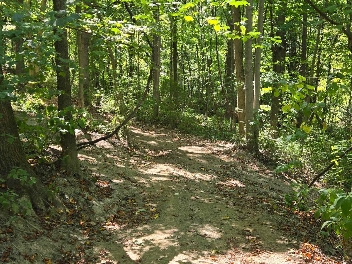 Trail 56 photo 4