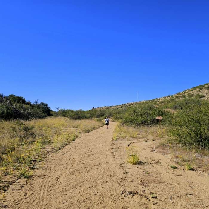 Near Oracle State Park 15.8 loop/trail