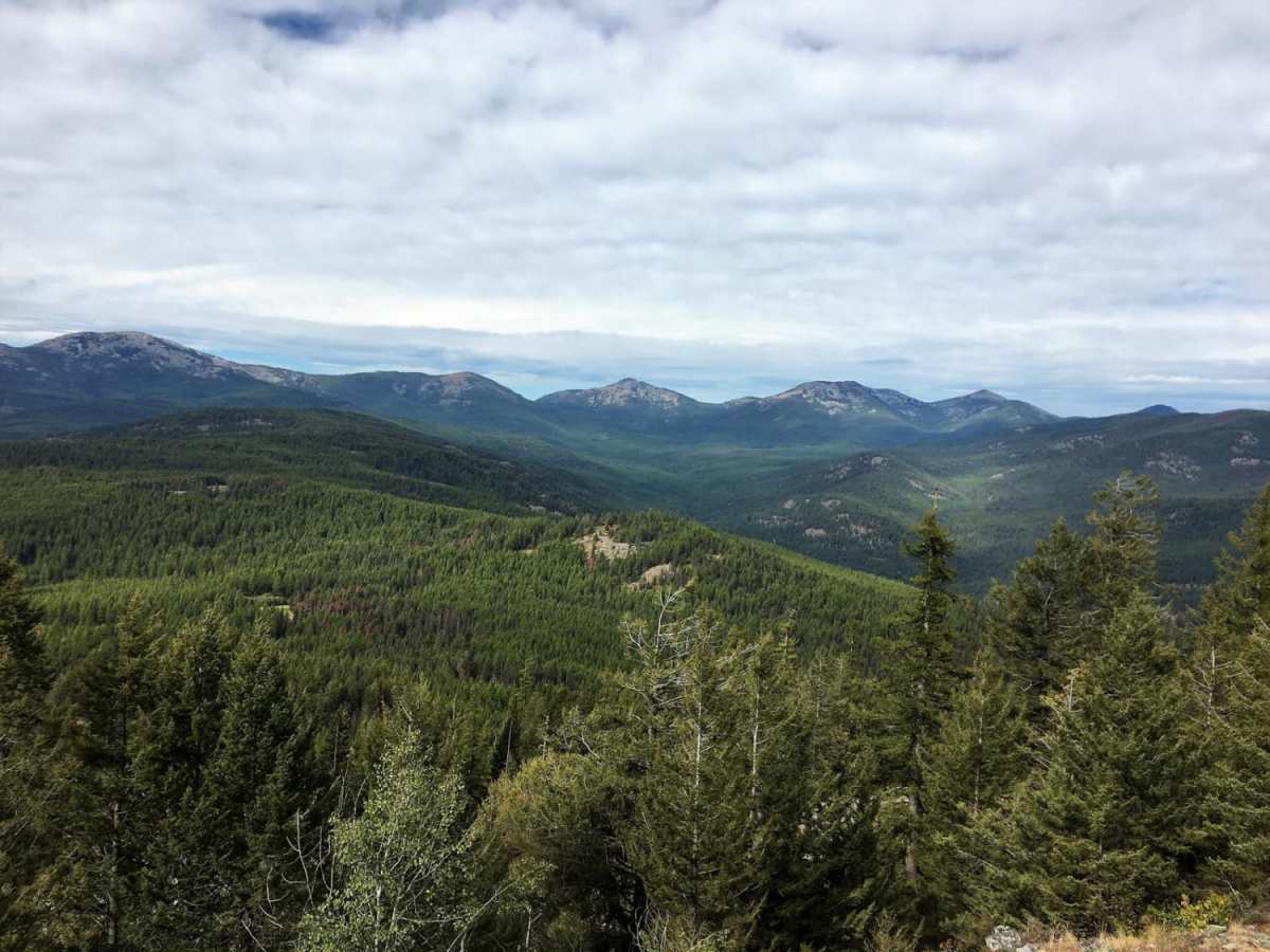 South Huckleberry2 Trail photo 4