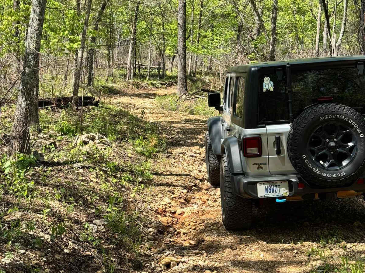 Mincy Food Plot Row photo 3