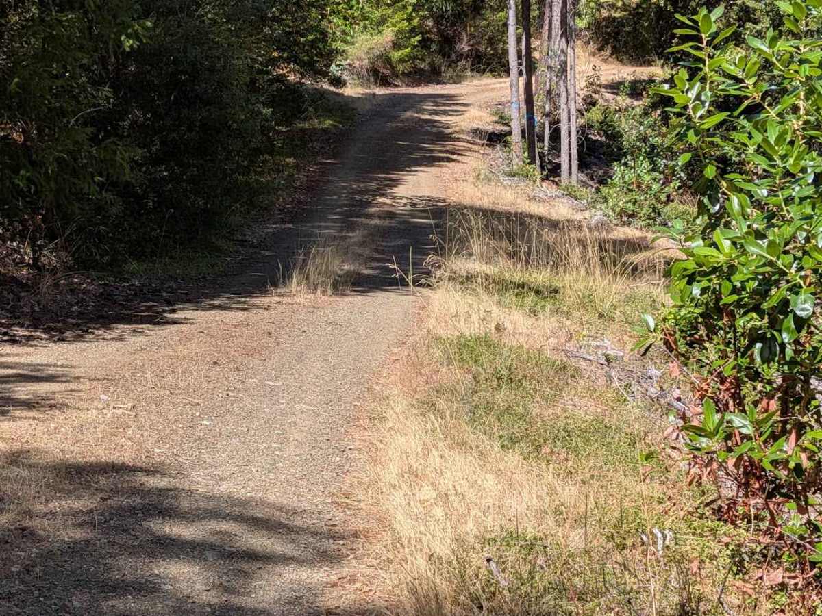 Camp Trinity Road - FS 3N20 photo 6