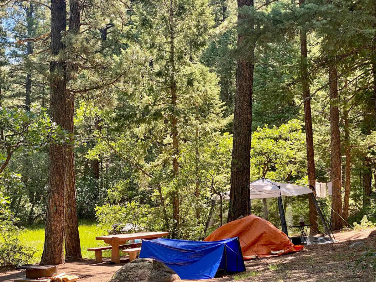 Lower Section of East Fork San Juan River Rd-Fr 667 photo 5