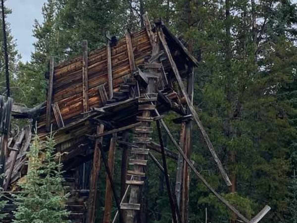 Red Buck Mine photo 5