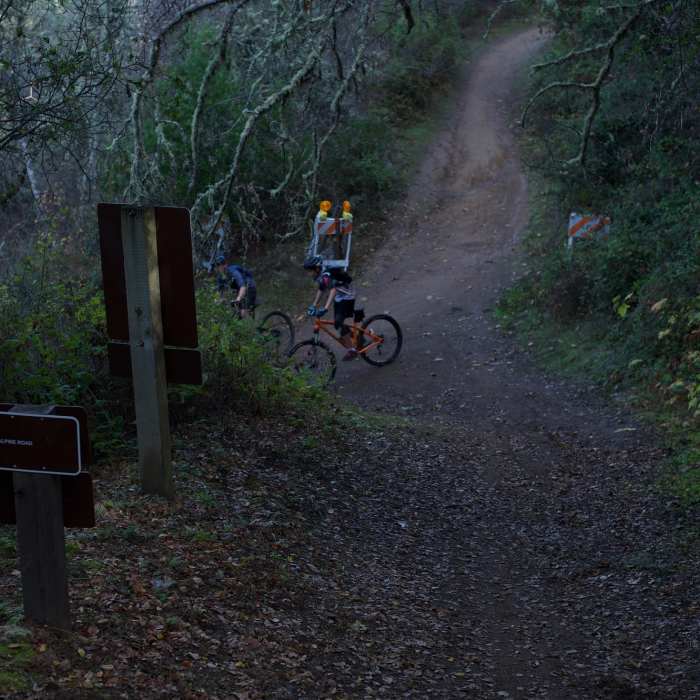 The trail comes to a junction with the Alpine Road Trail, where mountain bikers enjoy the descent from Page Mill Road to Portola Valley. Near Alpine Road Trail