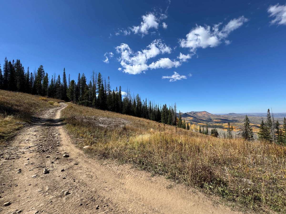 West Hahns Peak Road photo 2