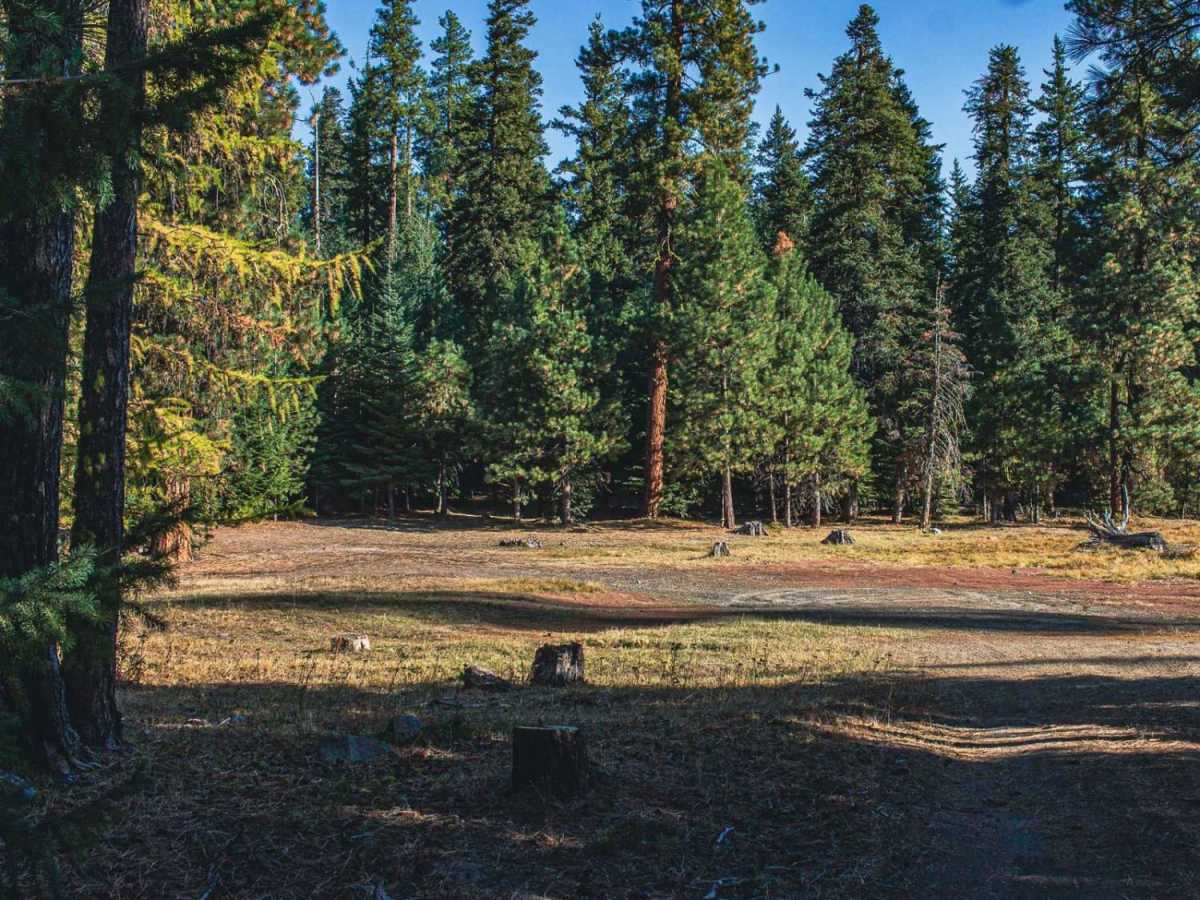 Lost Lake trail photo