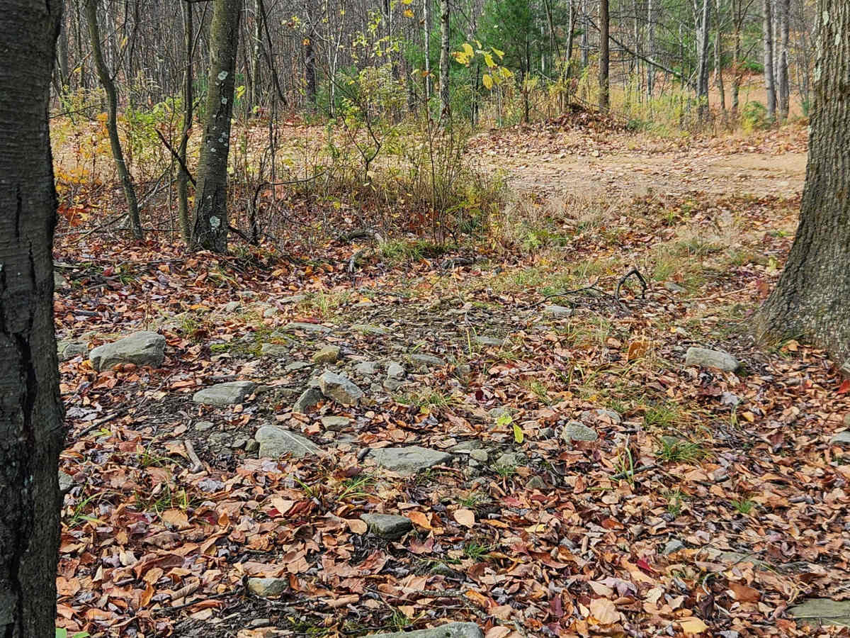 OHV 8 - Rock Run Recreation Area trail photo