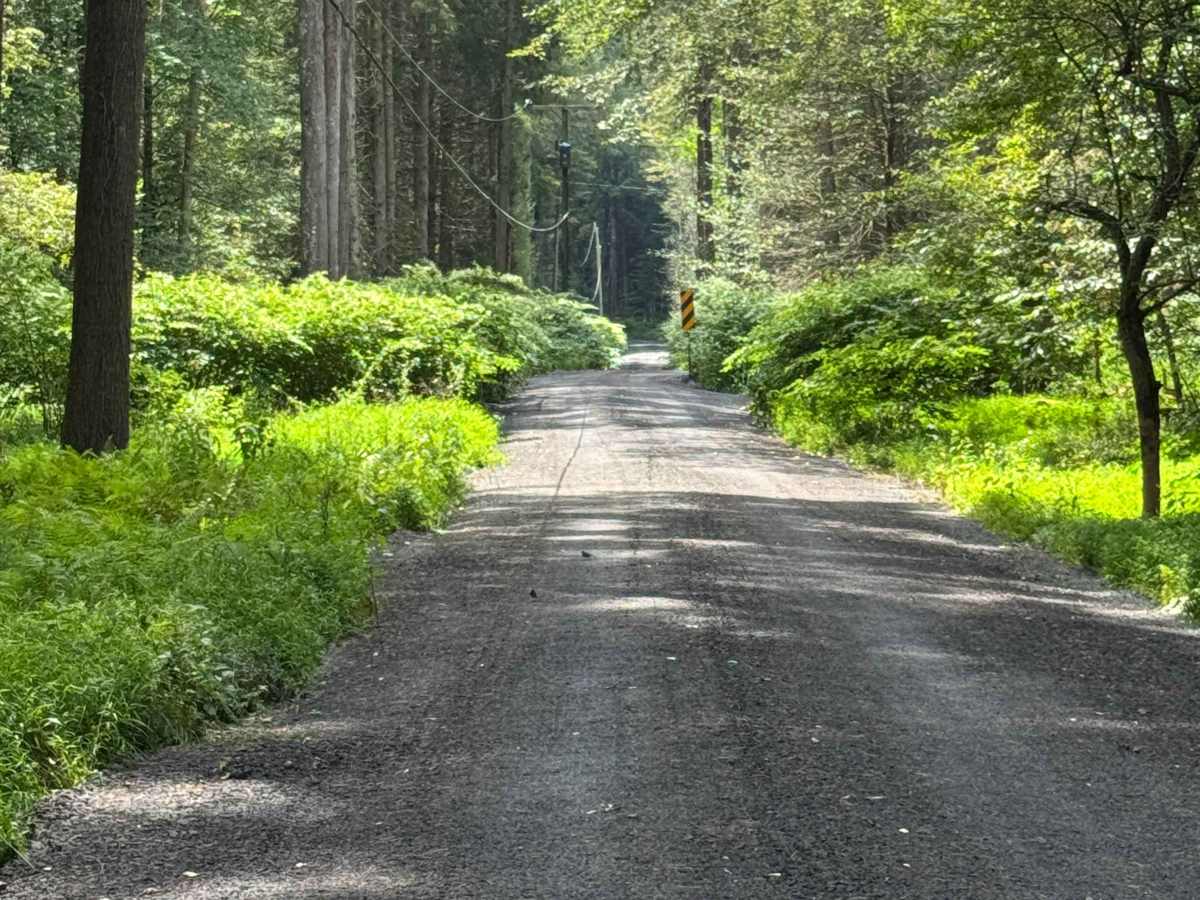 Upper Grays Run Road photo 4