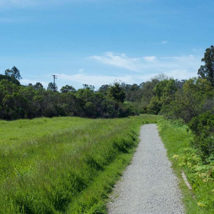 Near Wild Rye Trail
