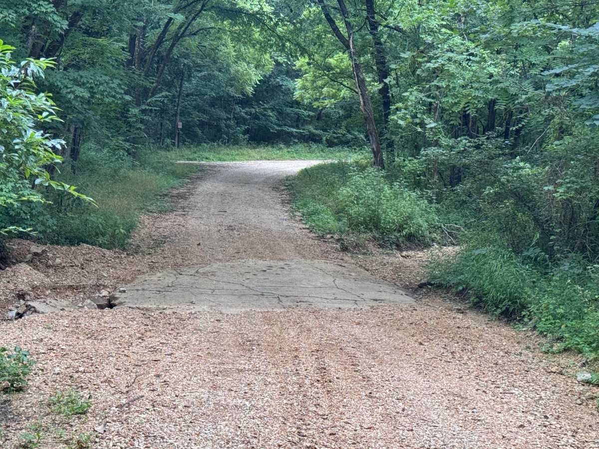 Culpepper Cemetery Road - 106 photo 5
