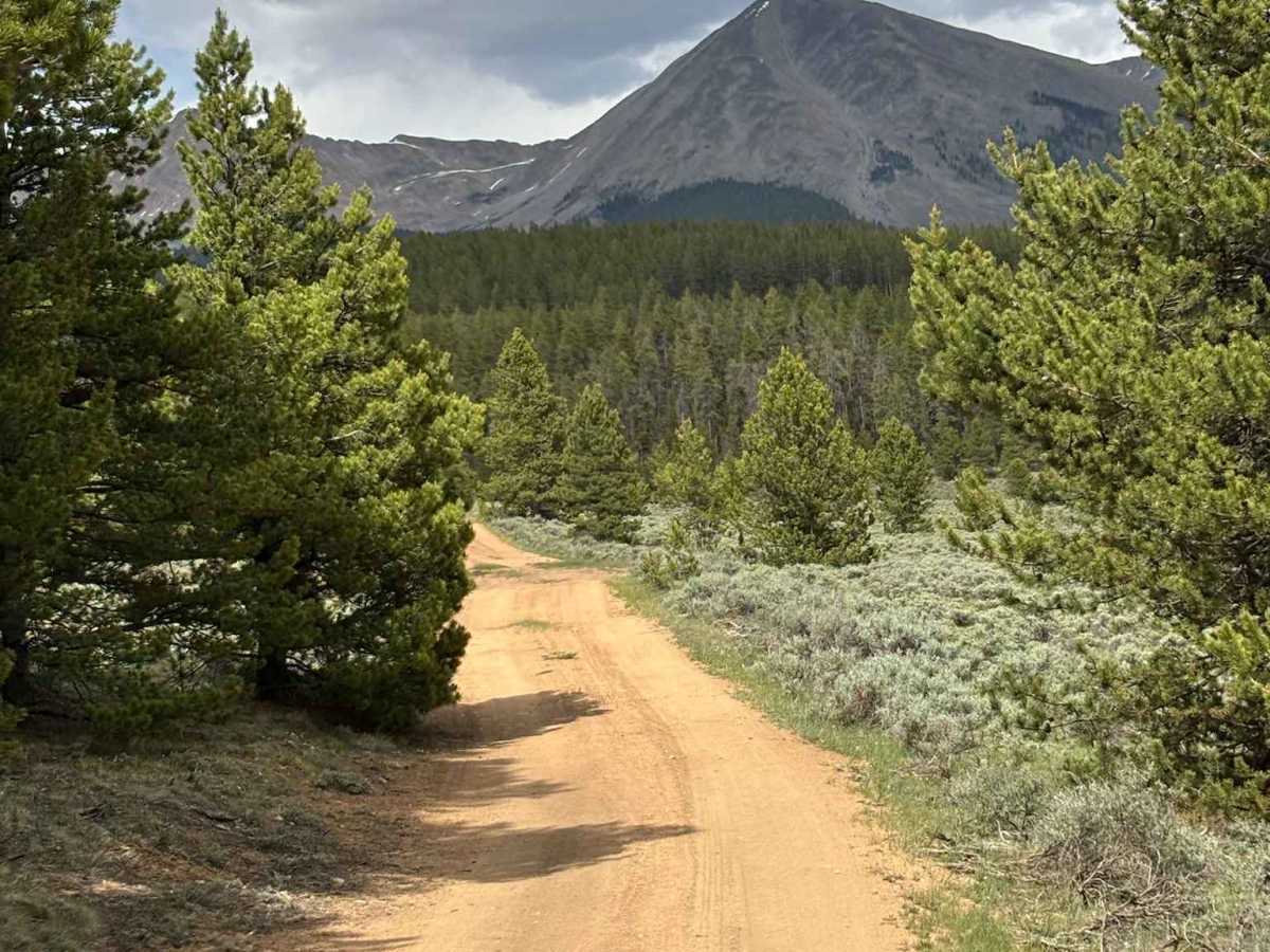 North Taylor Sp Road trail photo
