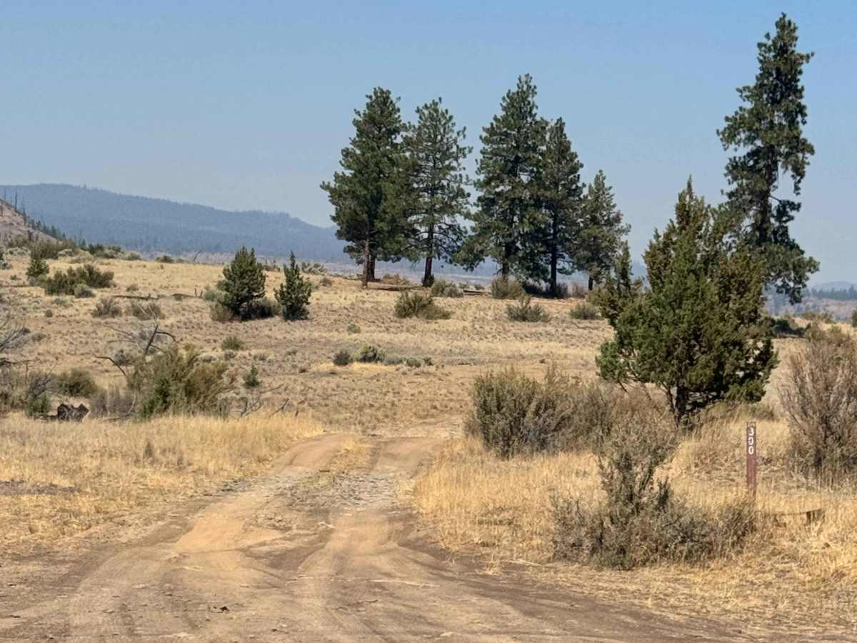 FS 1170-300 trail photo