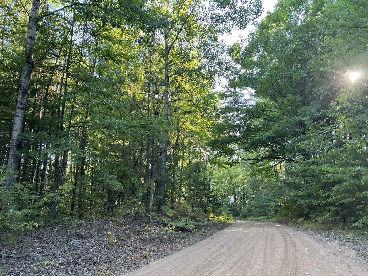 Schuster Lane trail photo