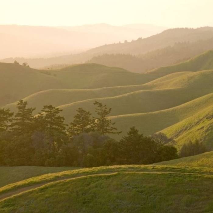 Bolinas Ridge. Near Willow Camp Fire Rd.