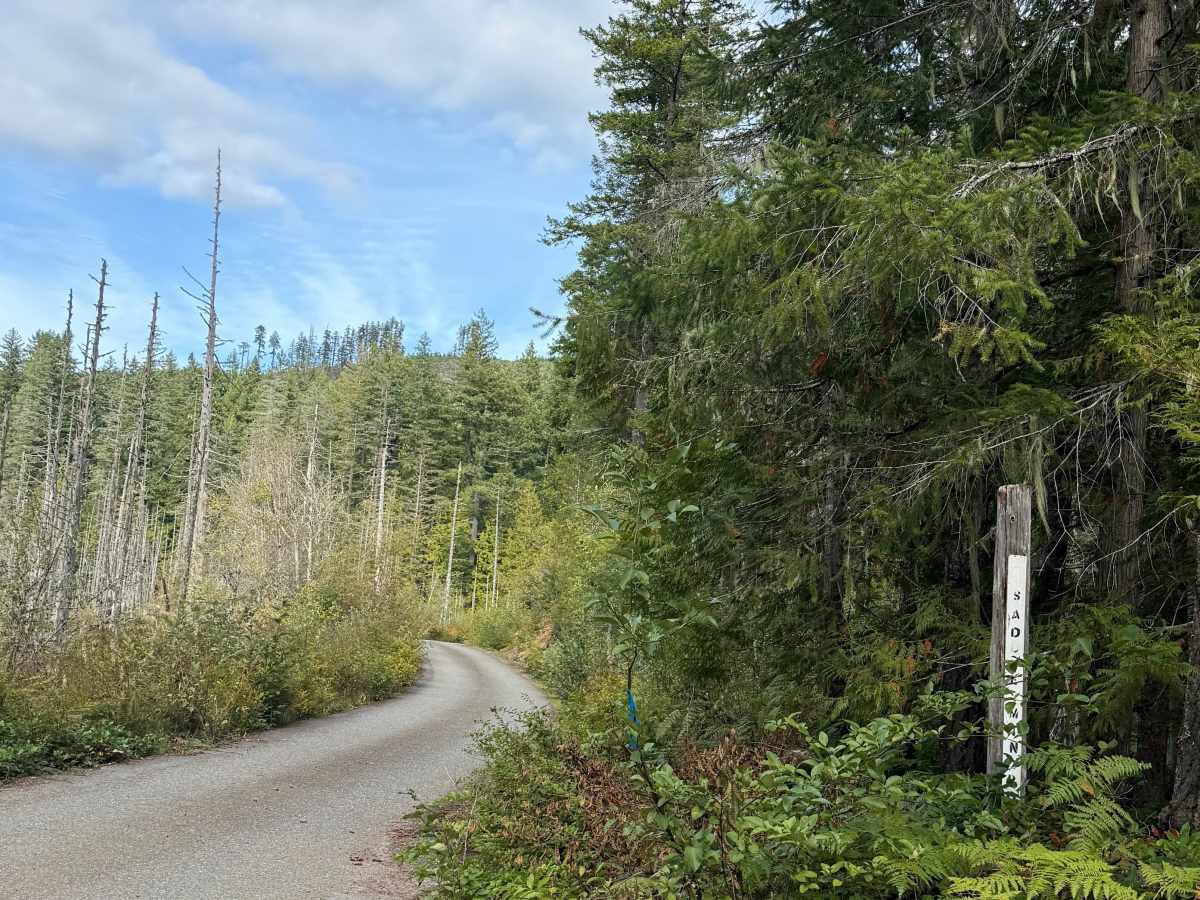 Saddle Mountain Road trail photo