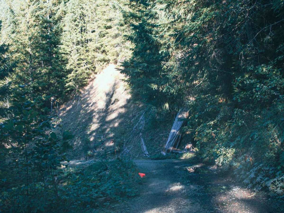 Catt Creek photo 5