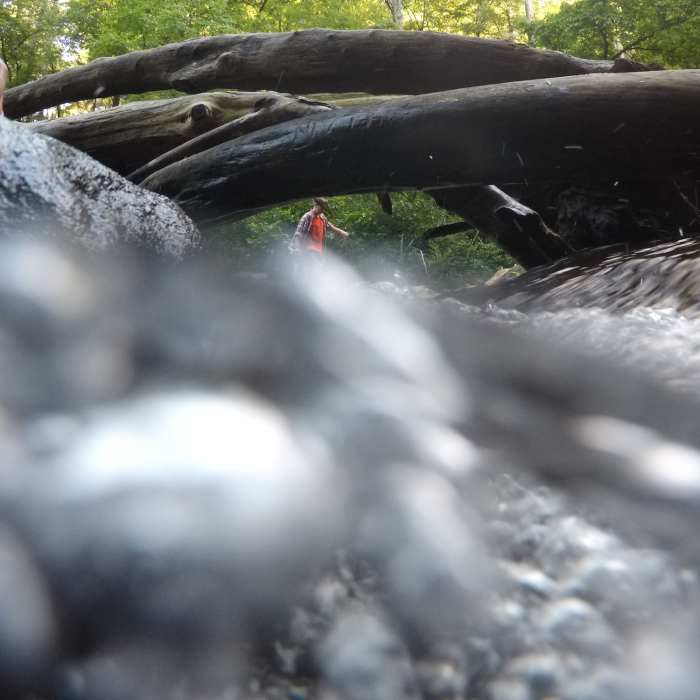 Near Helton Creek Falls Trail