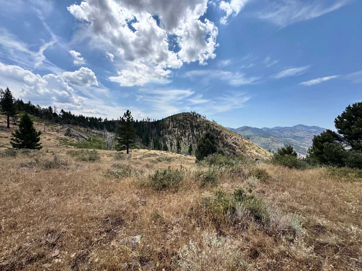 Circle Peak Road - FS 31311 photo 5