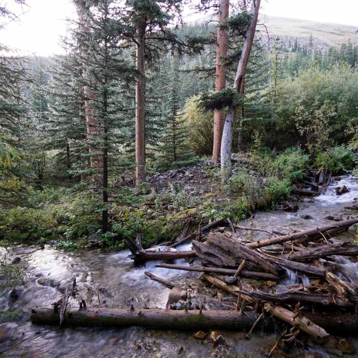 Near Missouri Mountain