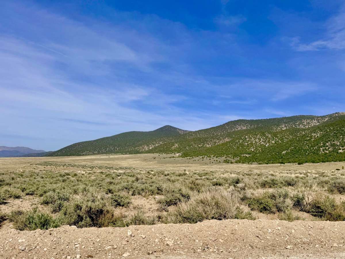 Dry Canyon South - FS 23004 photo 3