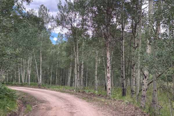 Nast Lake Access
