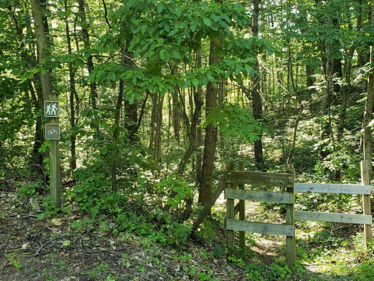 Parkers Gap photo 6