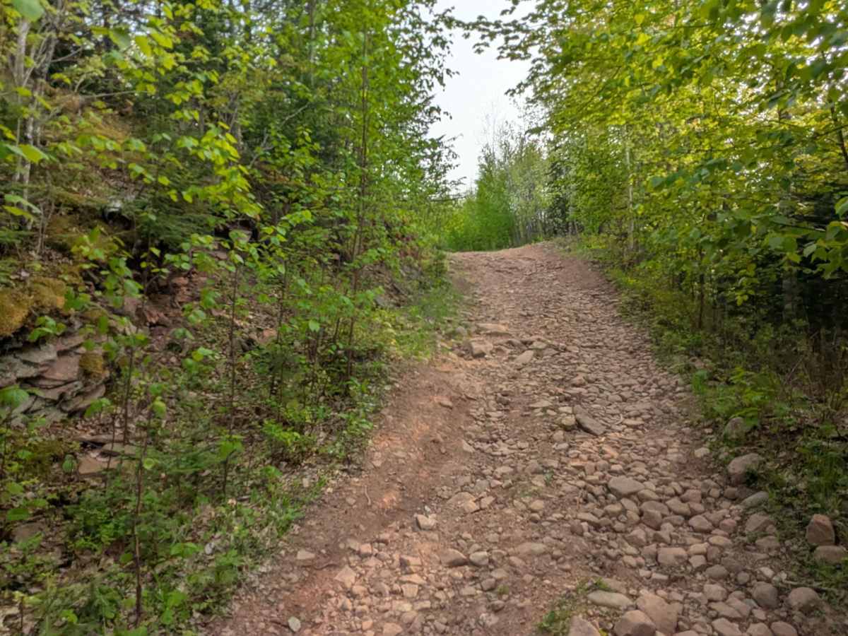 Huron Mouth Trail photo 6