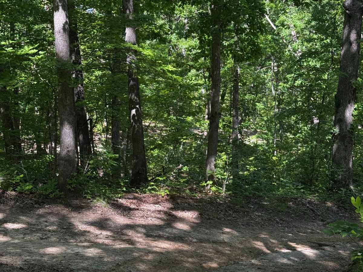 Inner Track 28 photo 2