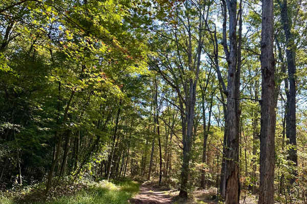 Howards Trail