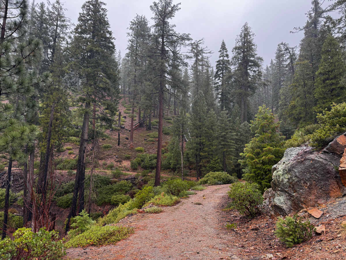 Screwauger Shelf trail photo