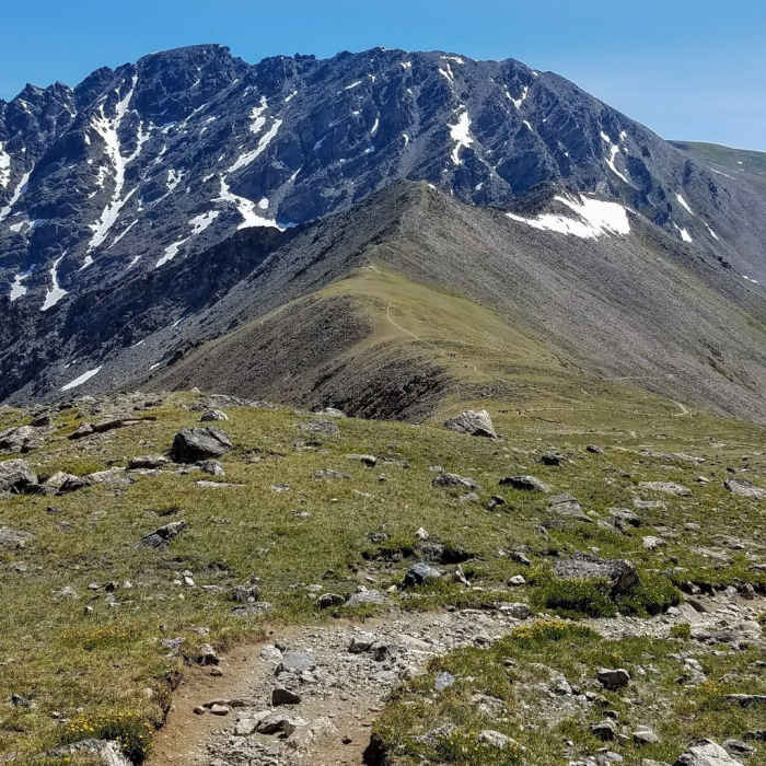 Near Caribou Pass Trail #11
