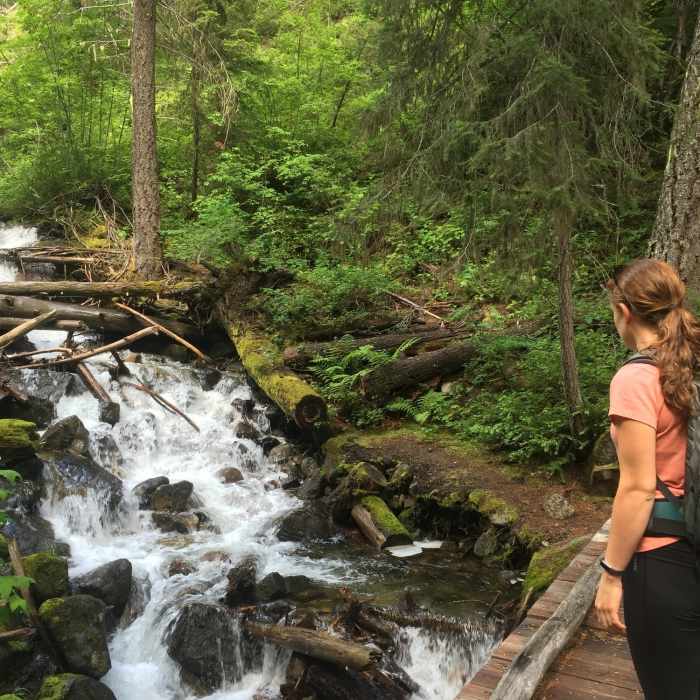 Near Chatter Creek Trail #1580