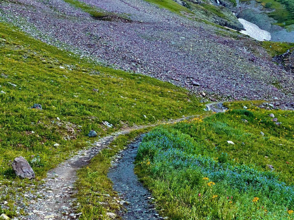 Old mine roads off of Imogene Pass Rd photo 3
