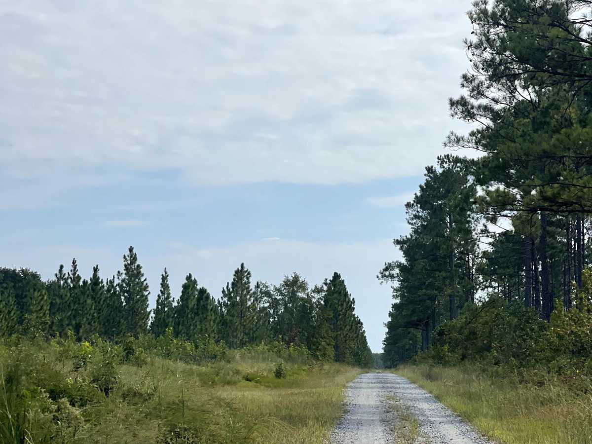 McCoy Road photo 3