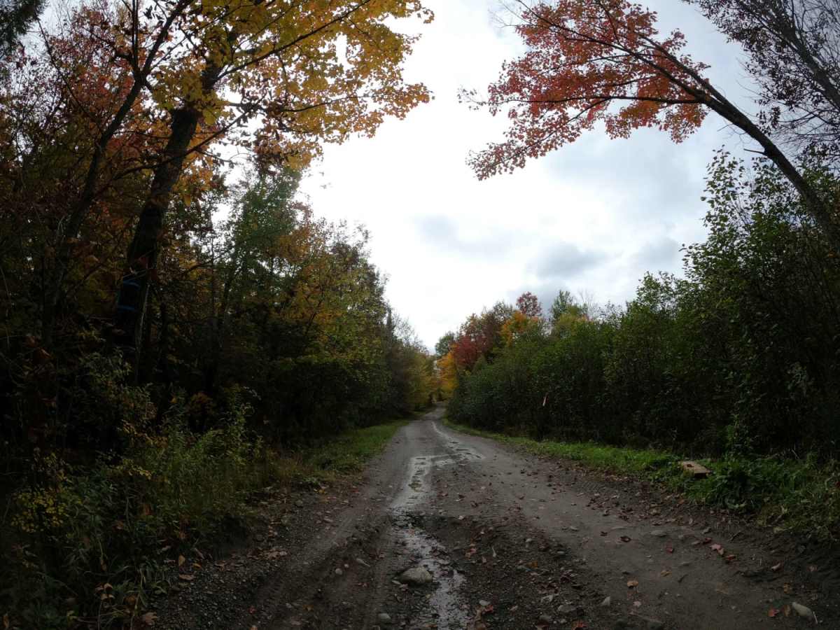 Edan Road photo 2