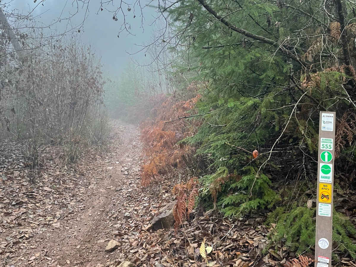 Blindside Connector trail photo